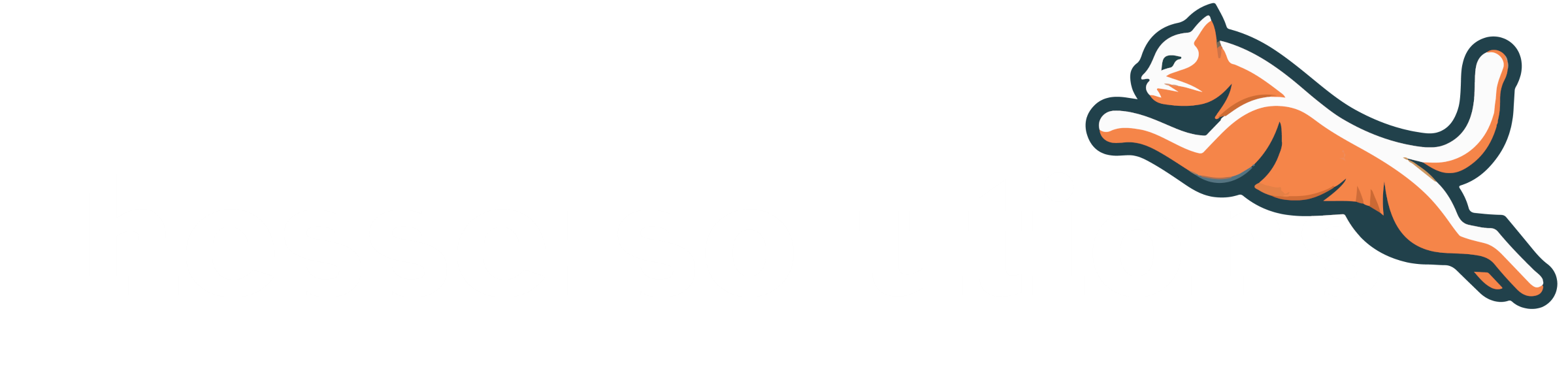 hesse:solutions Logo